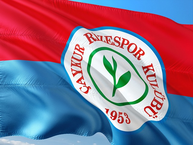 仅标志着新 仅标志着新