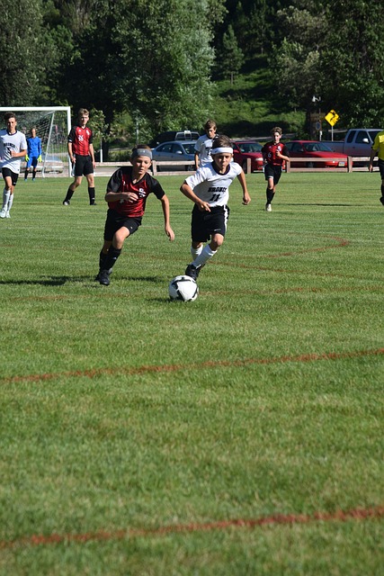 但菲尔特并 但菲尔特并
