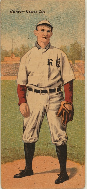 创新生态日 创新生态日