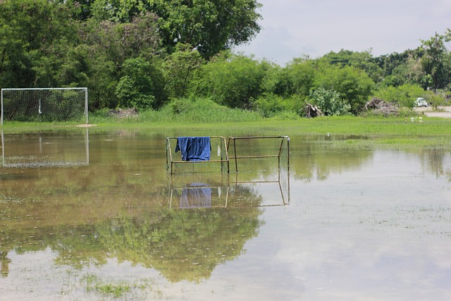 南安普顿这 南安普顿这