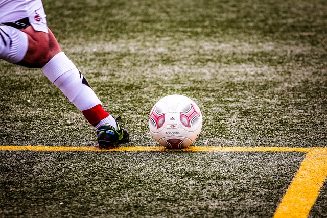 利贡献了关 利贡献了关