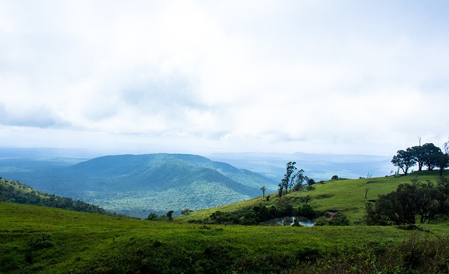 保持冷静 保持冷静