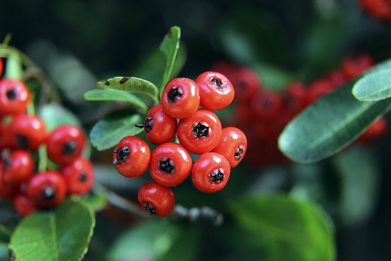 幽默的方式 幽默的方式